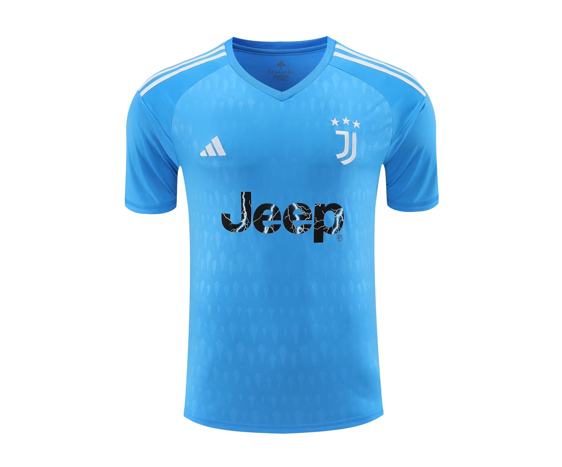 AAA Quality Juventus 23/24 GK Sky Blue Soccer Jersey